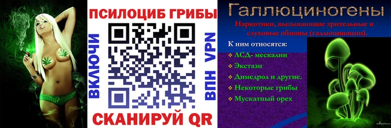 Псилоцибиновые грибы Cubensis  Тимашёвск 
